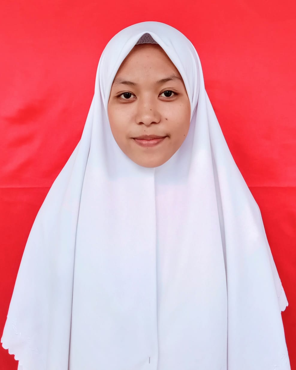 ZULMI FARWANTI